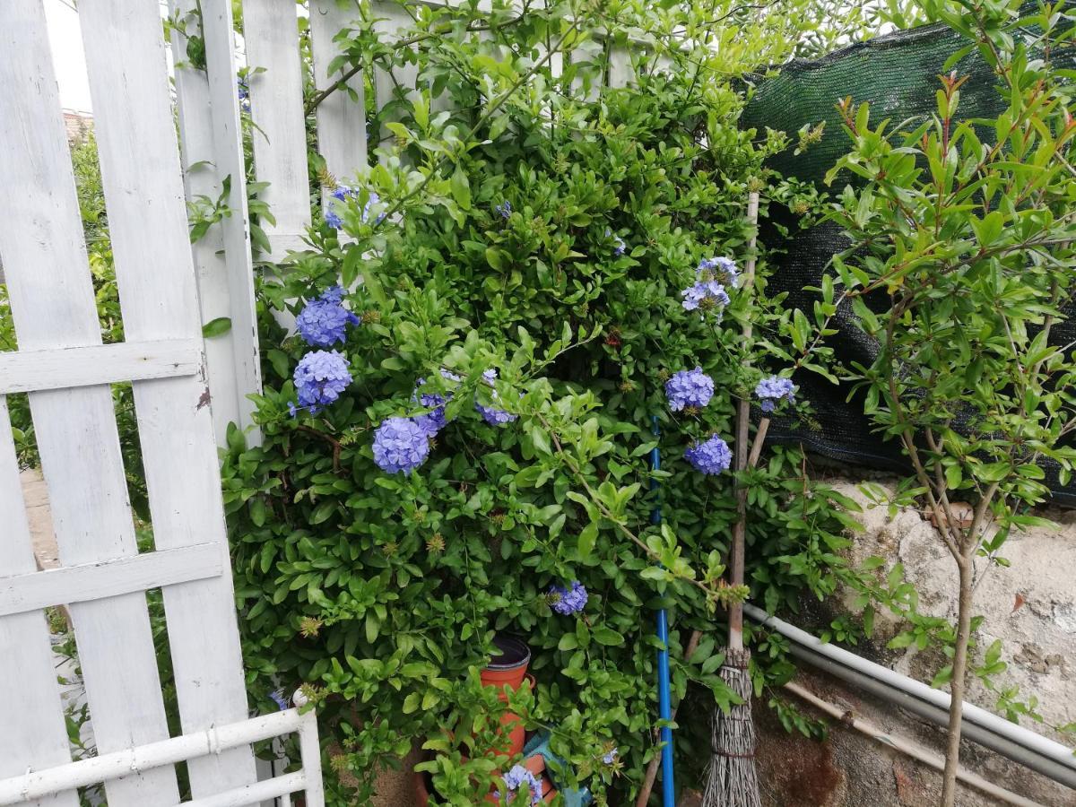 Casa Deli - Le Farfalle Blu Syracuse Ngoại thất bức ảnh